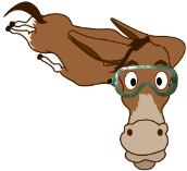 A flying mule is pretty memorable! It can help you remember the equation Force = Mass x Acceleration